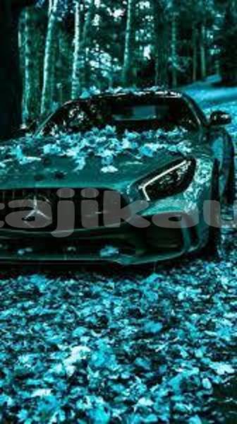 Big with watermark 12