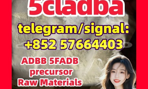 Medium with watermark 5c5