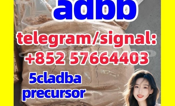 Medium with watermark 5cc5