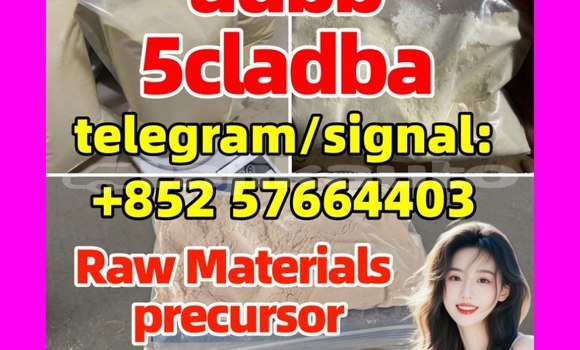 Medium with watermark 55