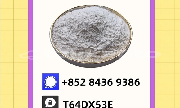 Buy Used Audi 80 Blue Car in Chorku in Sughd Buy Used Audi 80 Blue Car in Chorku in Sughd