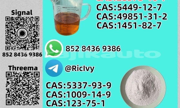 Buy Used Bertone Freeclimber Brown Car in Chkalov in Sughd