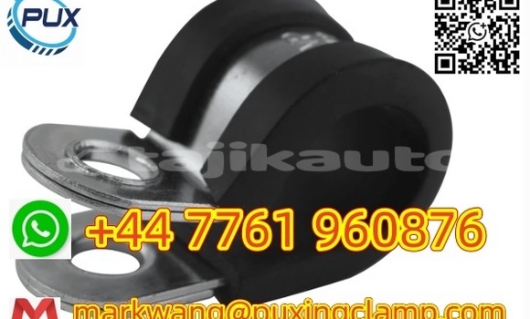 Buy Direct Selling hose clamp in Murgob in Gorno-Badakhshan Buy Direct Selling hose clamp in Murgob in Gorno-Badakhshan