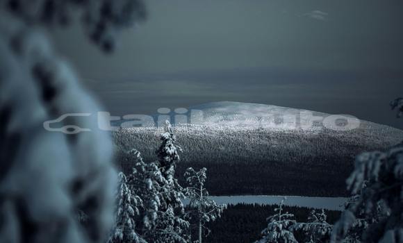 Medium with watermark ss