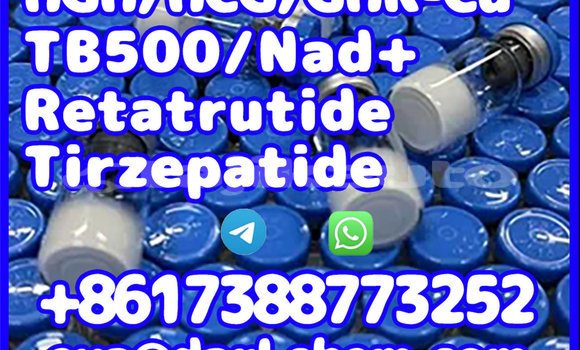 Buy Tirzepatide 2023788-19-2 in Chkalov in Sughd Buy Tirzepatide 2023788-19-2 in Chkalov in Sughd