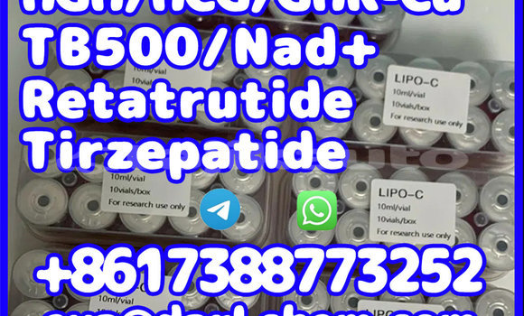 Buy Tirzepatide 2023788-19-2 in Chkalov in Sughd Buy Tirzepatide 2023788-19-2 in Chkalov in Sughd