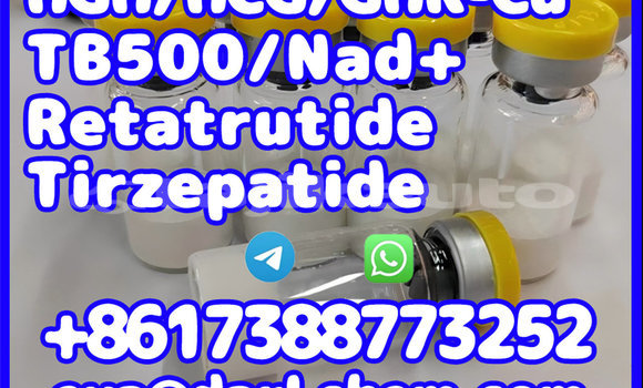 Buy Tirzepatide 2023788-19-2 in Chkalov in Sughd Buy Tirzepatide 2023788-19-2 in Chkalov in Sughd