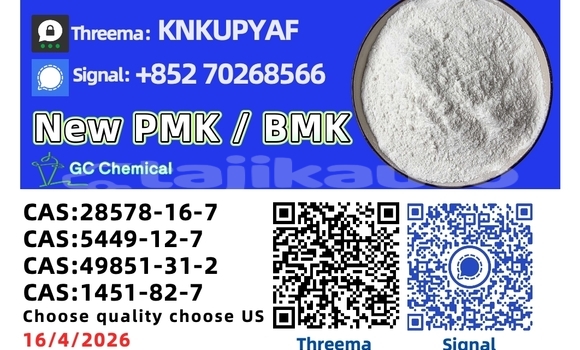 Buy Used Acura EL Brown Car in Adrasmon in Sughd