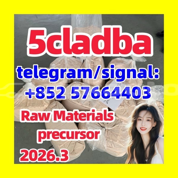 Big with watermark 555