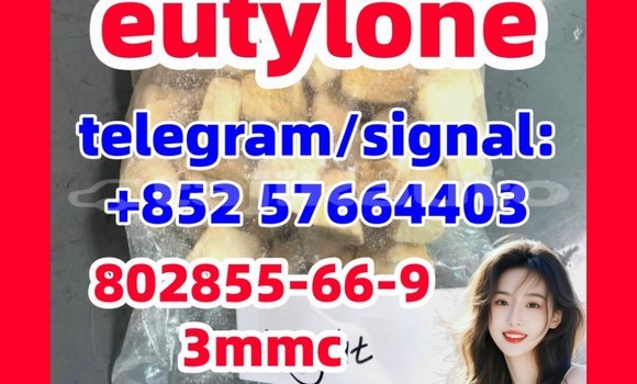 Medium with watermark e4