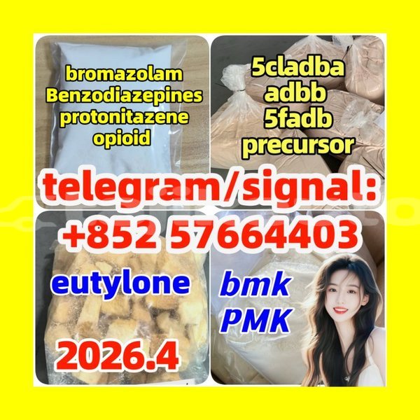 Big with watermark z5