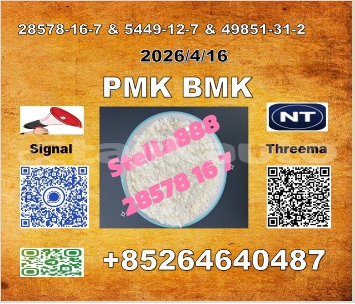 Big with watermark t %e5%89%af%e6%9c%ac 2 