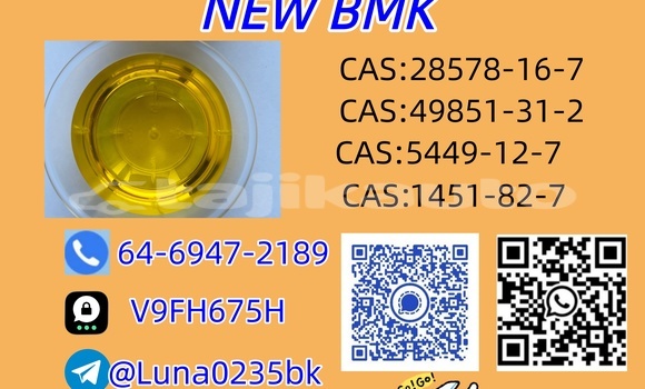 Buy Used Bertone Freeclimber Black Car in Asht in Sughd