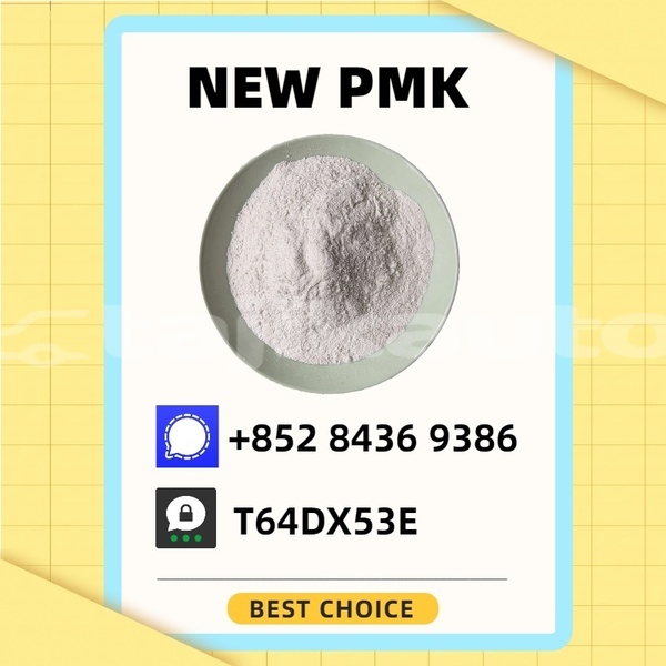 Big with watermark chana benni khatlon kumsangir 16758