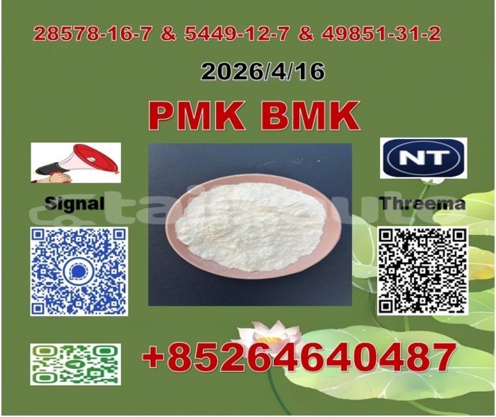 Big with watermark 5tgb