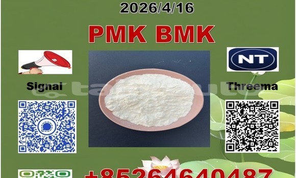 Buy 5449-12-7bmk in Chorku in Sughd Buy 5449-12-7bmk in Chorku in Sughd