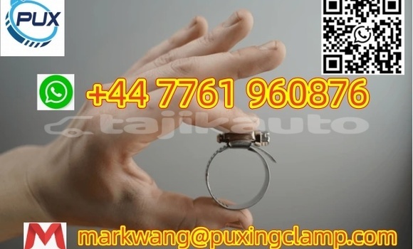 Buy 201/304 hose clamp Stock in Chorku in Sughd Buy 201/304 hose clamp Stock in Chorku in Sughd