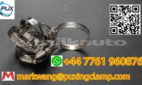 Buy 201/304 hose clamp Stock in Gafurov in Sughd Buy 201/304 hose clamp Stock in Gafurov in Sughd