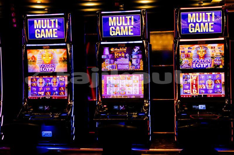 Big with watermark pexels viniciusvieirafotografia 29825627