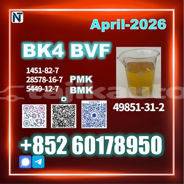 Big with watermark tesla model 3 sughd panjakent 17066