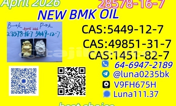 Buy Used Adler Diplomat Black Car in Buston in Sughd