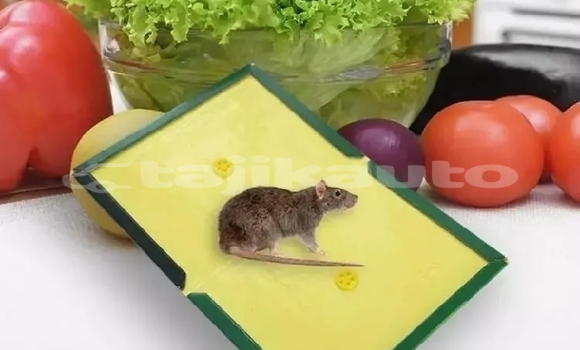 Buy Used AC Ace Black Car in Buston in Sughd