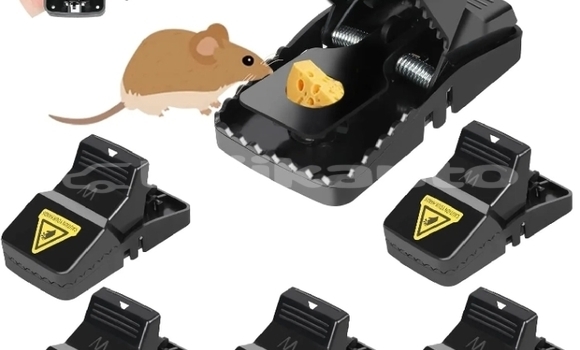 Buy Used Acura Integra Black Car in Dangara in Khatlon