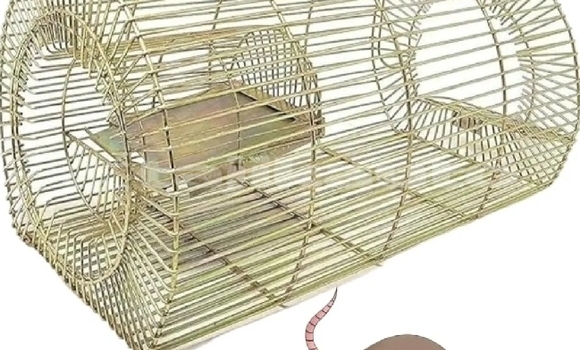 Buy Used Acura ILX Blue Car in Ayni in Sughd