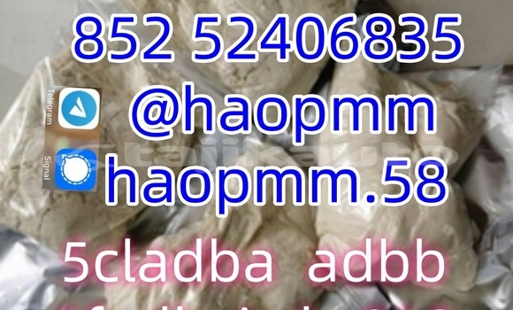 5cladba Yellow/white/pin