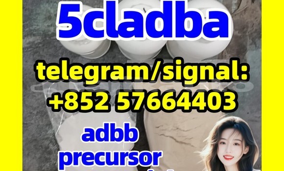 Medium with watermark 5cl1