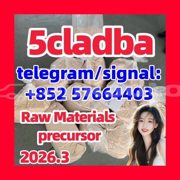 Big with watermark 551