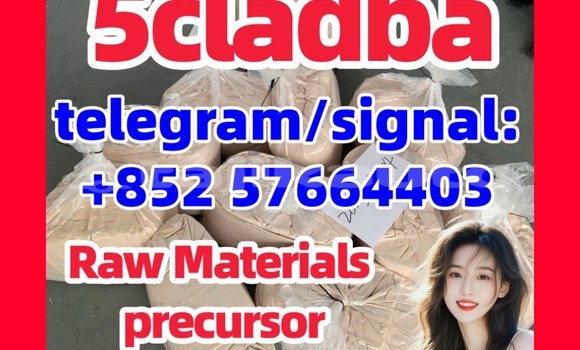 Medium with watermark 551