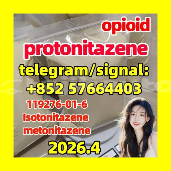 Big with watermark pro2