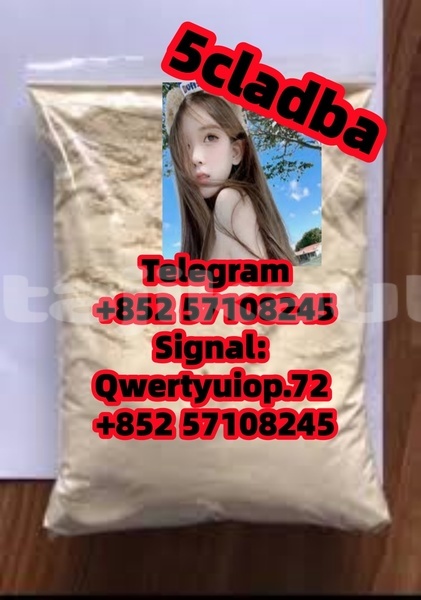 Big with watermark images 1 %e5%89%af%e6%9c%ac