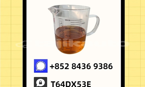 Buy Used Chevrolet Alto Blue Car in Kumsangir in Khatlon