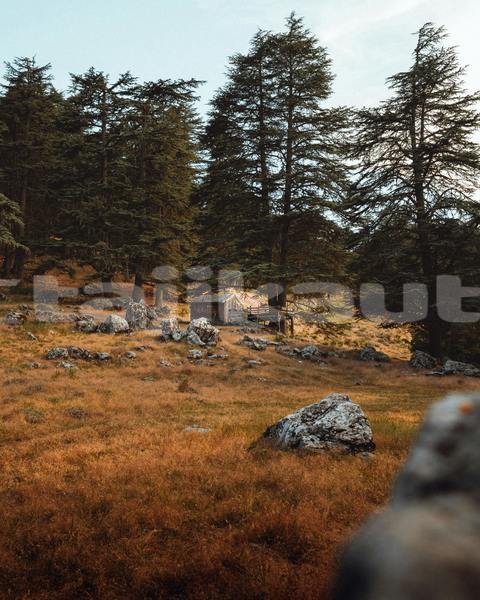 Big with watermark ajs cadwell sughd chkalov 18106