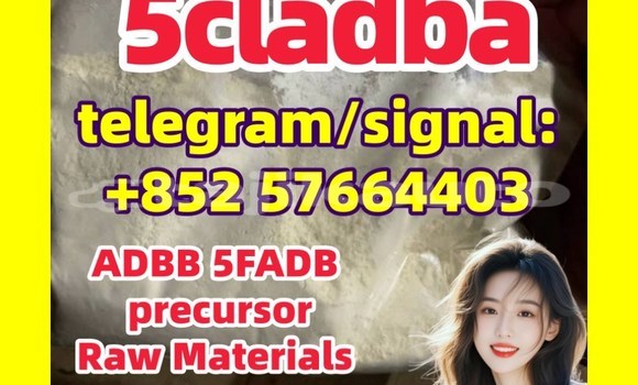 Medium with watermark 5c4