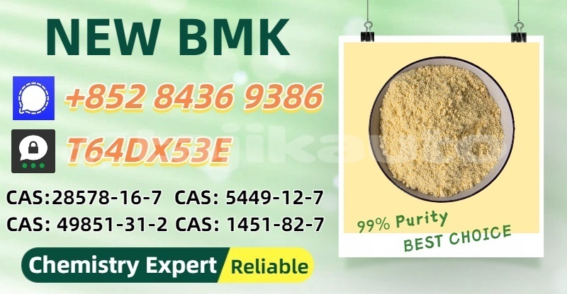 Big with watermark bedford cfs sughd nau 18222