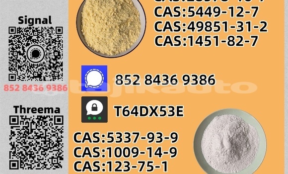 Buy Used Bitter CD Brown Car in Murgob in Gorno-Badakhshan