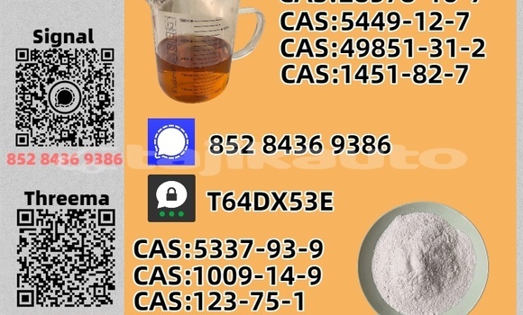 Buy Used Aurus Senat Black Car in Matcha in Sughd