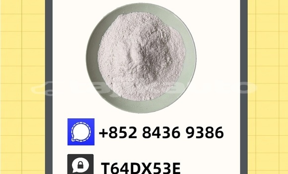 Buy Used DeLorean DMC-12 Brown Car in Vakhsh in Khatlon Buy Used DeLorean DMC-12 Brown Car in Vakhsh in Khatlon