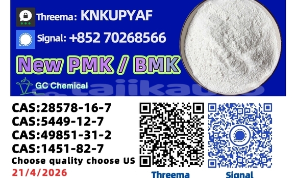 Buy Used Dacia 1310 Blue Car in Chkalov in Sughd