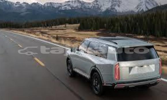 Medium with watermark download 5 