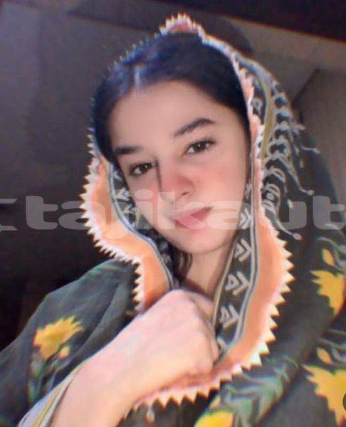 Big with watermark adler diplomat khatlon dangara 18424