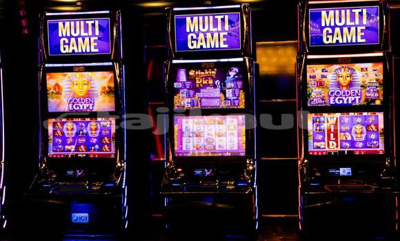 Buy earn money cricket in Ayni in Sughd Buy earn money cricket in Ayni in Sughd