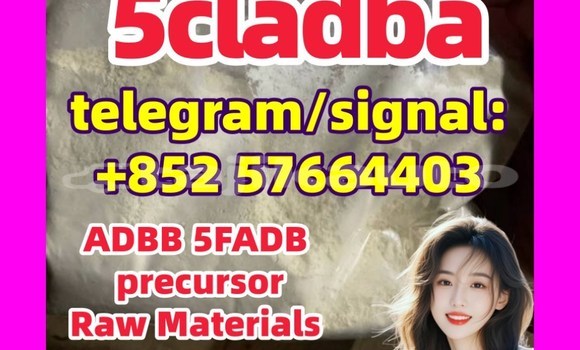 Medium with watermark 5c2