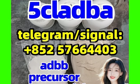 Medium with watermark 5cl2