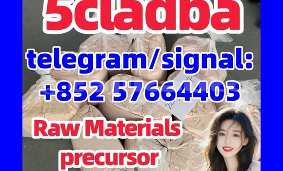 Medium with watermark 552