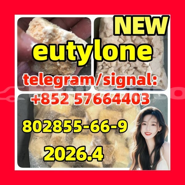 Big with watermark eu2