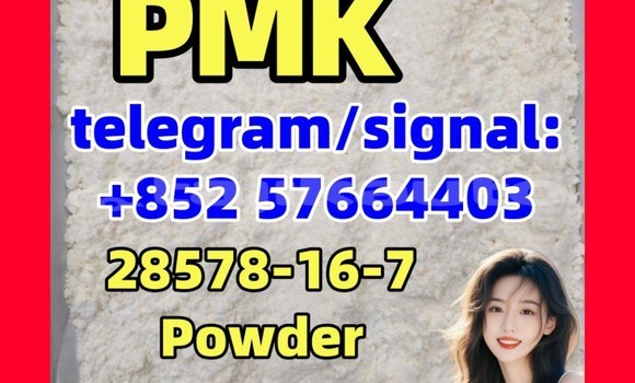 Medium with watermark p2